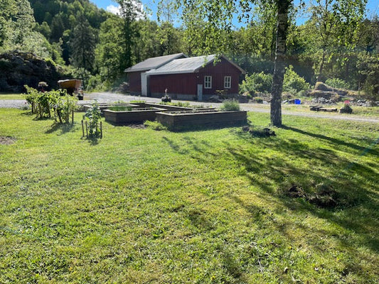 Velkommen til småbrukslivet - der livet spirer og klukker